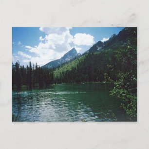 String Lake- Yellowstone Postcard