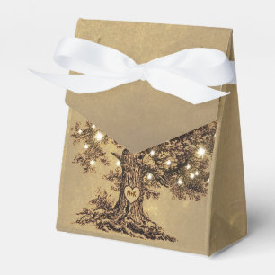 string lights tree old rustic wedding favour box