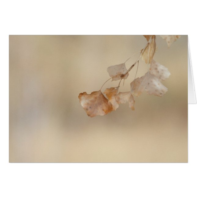 string of golden leaves (Front Horizontal)