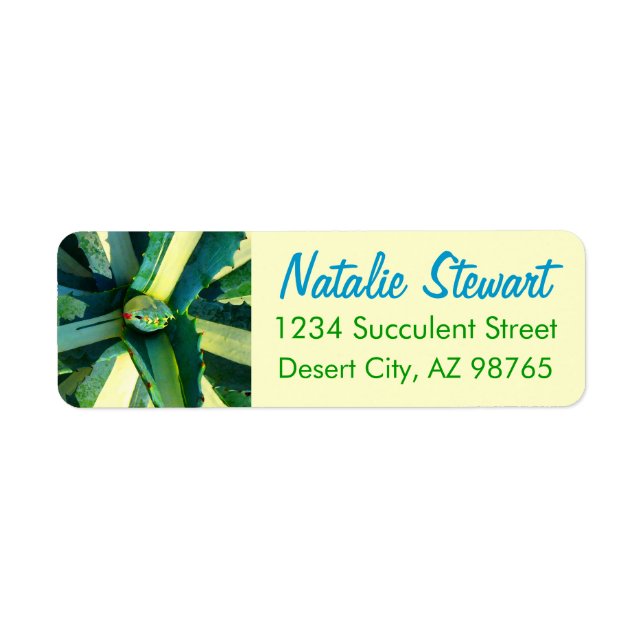 Striped Agave Americana by Amy Vangsgard (Front)