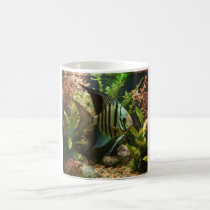 Striped altum angelfish  coffee mug