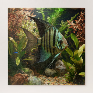 Striped altum angelfish jigsaw puzzle