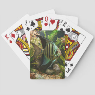 Striped altum angelfish  playing cards