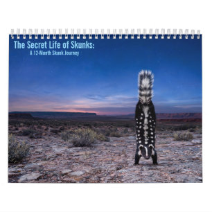 Striped and Spotted Skunks 2027 Calendar