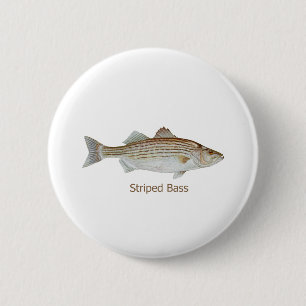 Striped Bass Art (titled) 2 Inch Round Button