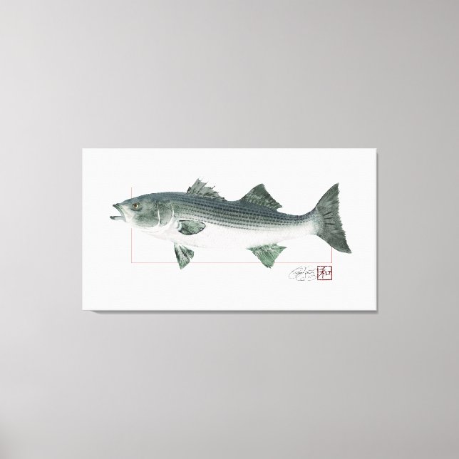 Striped Bass in Digitally Matched Colour Canvas Print (Front)