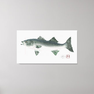 Striped Bass in Digitally Matched Colour Canvas Print