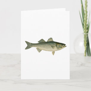 Striped Bass Logo Card