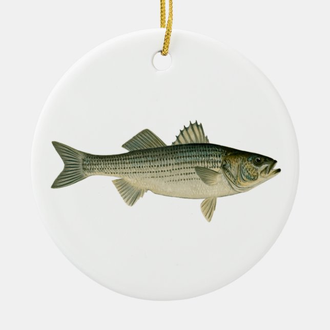 Striped Bass Logo Ceramic Ornament (Front)