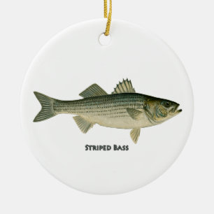 Striped Bass Logo Ceramic Ornament