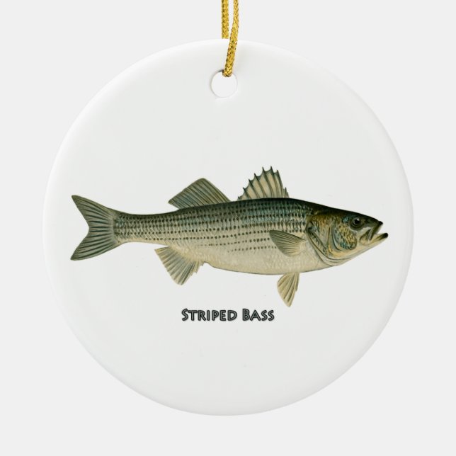Striped Bass Logo Ceramic Ornament (Front)