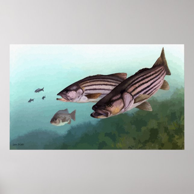 Striped bass signed painting poster (Front)