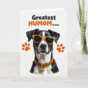Striped Cool Canine Card