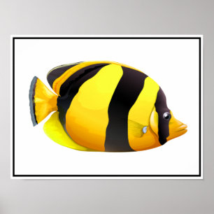 Striped Fish Poster