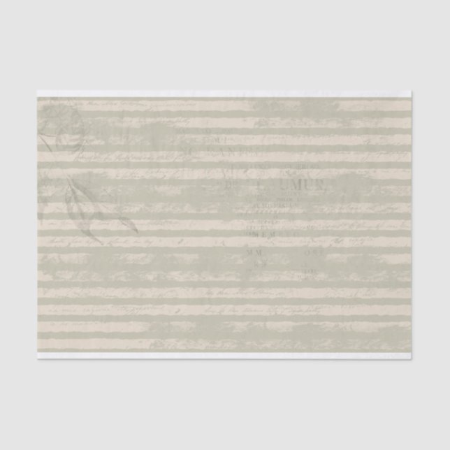 Striped Grunge Green and Ivory Tissue Paper (Front)