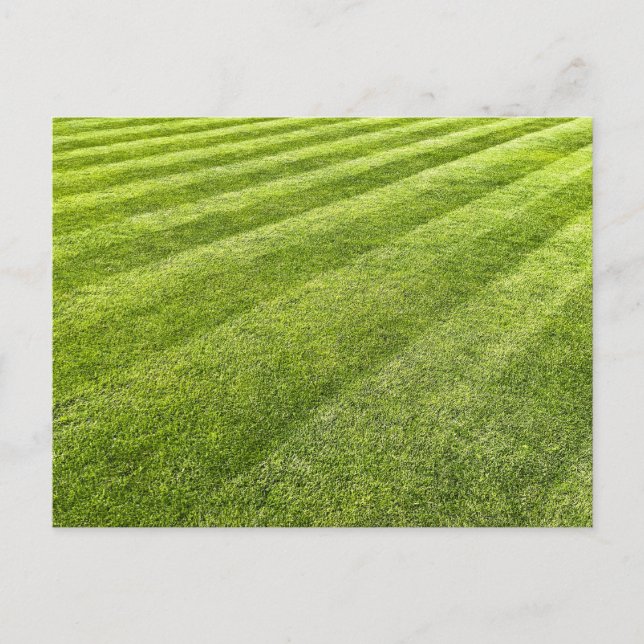 Striped Lawn Abstract Holiday Postcard (Front)
