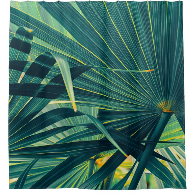 Striped Palm Leaf Toned Texture (Front)