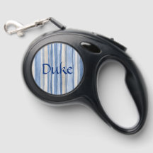 Striped Pattern Blue Beige Minimalist Style