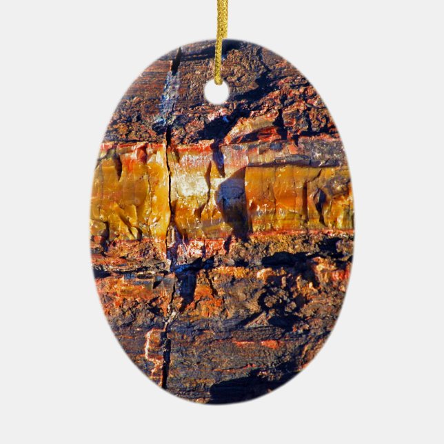 "Striped Petrified Wood" collection Ceramic Ornament (Front)