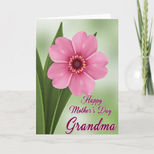 Striped Pink Blossom Message Card