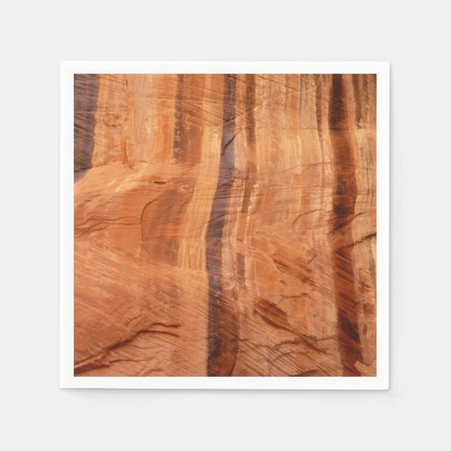 Striped Rock of Double Arch Alcove II at Zion Napkin (Front)