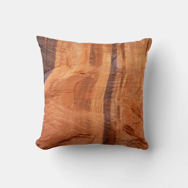 Striped Rock of Double Arch Alcove II at Zion Throw Pillow (Front)
