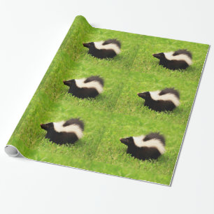 Striped Skunk Wrapping Paper