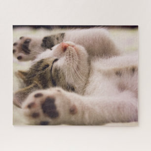 Striped Tabby Kitten Jigsaw Puzzle