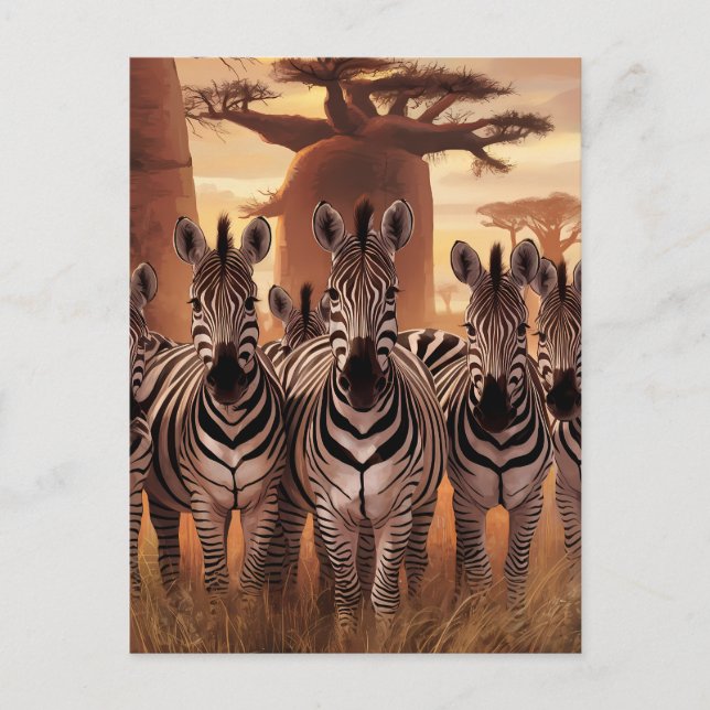 Striped Unity: Zebras Standing Together Postcard (Front)