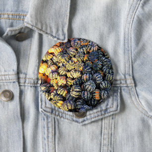 Stripes And Pumpkins  4 Inch Round Button