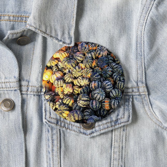 Stripes And Pumpkins  4 Inch Round Button (In Situ)