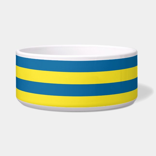 Stripes | Blue & Yellow | Customizable (Front)