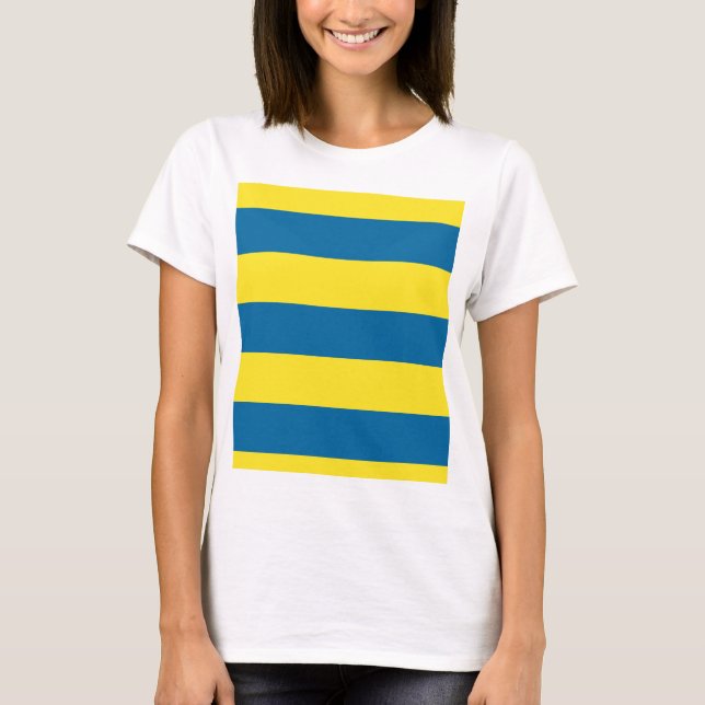 Stripes | Blue & Yellow | Customizable T-Shirt (Front)