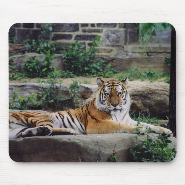Stripes Mouse Pad (Front)