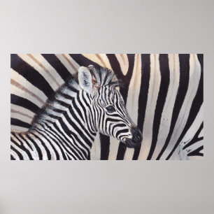 Stripes Zebra Baby and Mom poster all sizes