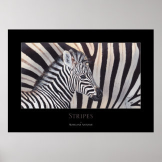 Stripes Zebra Baby and Mom poster toutes tailles