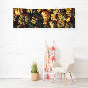 Stripey Pumpkins Cluster  Banner