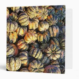 Stripey Pumpkins Cluster  Binder