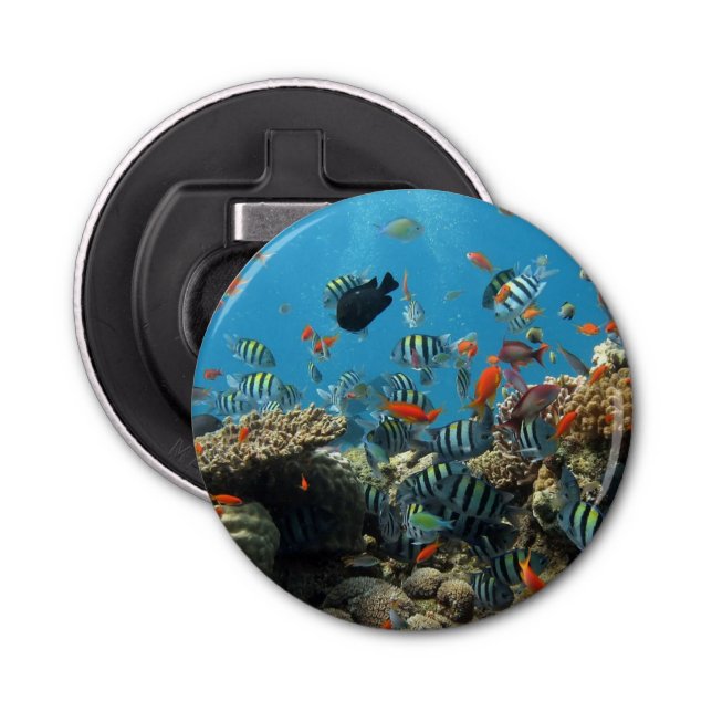 Stripey Tropical Fish Coral Chaos Bottle Opener (Front)