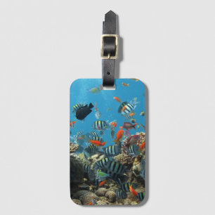Stripey Tropical Fish Coral Chaos Luggage Tag