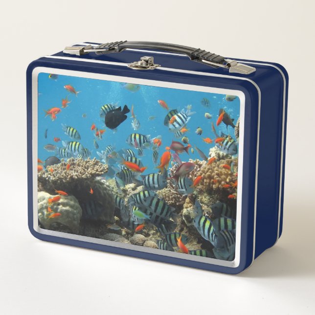 Stripey Tropical Fish Coral Chaos Metal Lunch Box (Front)