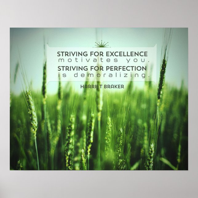 Striving For Excellence Poster (Front)