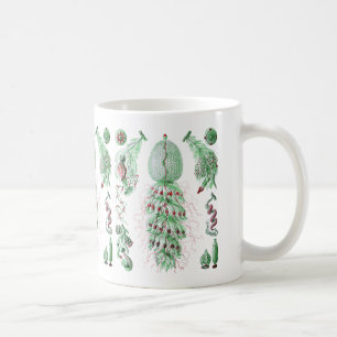 Strobalia Coffee Mug