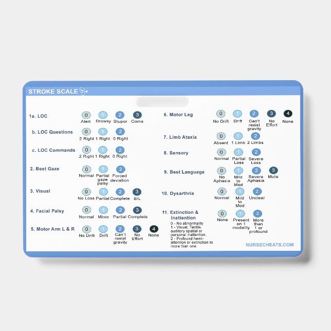 Stroke Scale Badge Companion (Front)