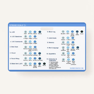 Stroke Scale Badge Companion