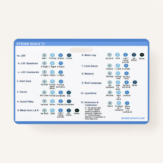 Stroke Scale Badge Companion
