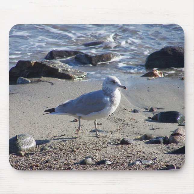 Strolling Gull Mouse Pad (Front)