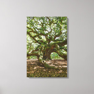 Strong And Bold Canvas Print