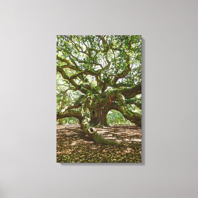 Strong And Bold Canvas Print (Front)