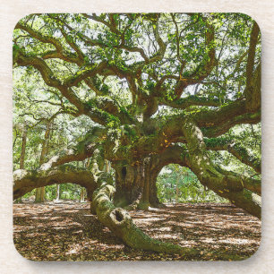Strong And Bold Coaster